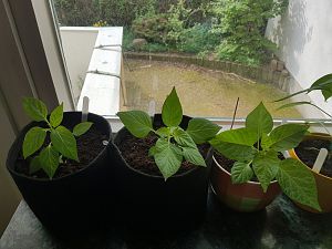 20180423_101328