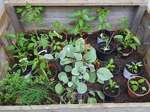 20180424_071243[1]