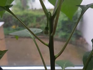 20180428_062012