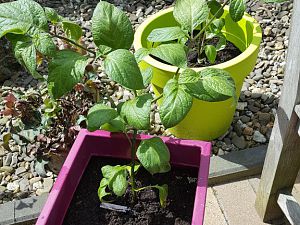 20180428_134511[1]