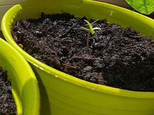 20180429_130106
