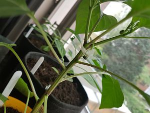 20180430_091543