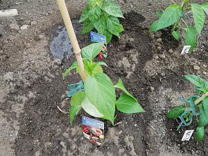 IMG_20180502_145813