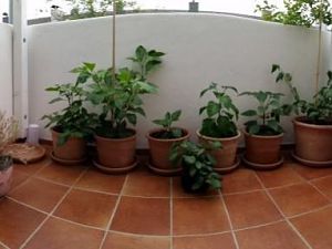20180501_192943