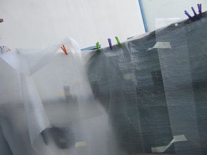 DSCF2163