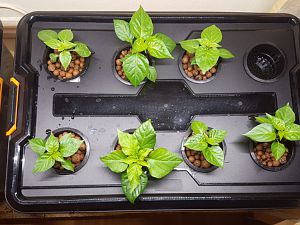 hydro_start