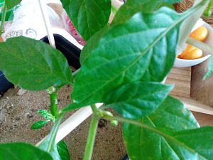 IMG_20180518_125010