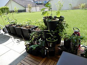 DSCN0244