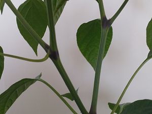 IMG_20180521_090618