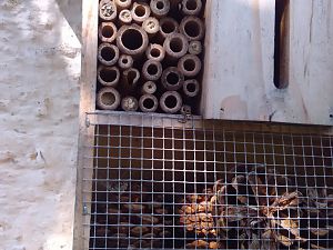 Insektenhotel 30.5.18