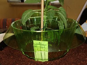 IMG_20180528_175229