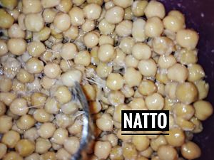 Natto