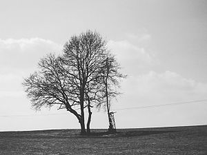 IMG_3027