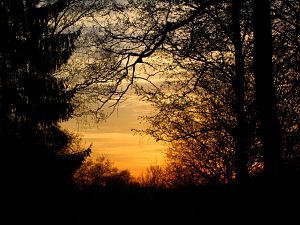 IMG_3102