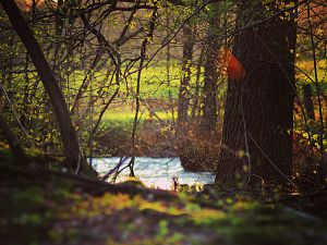 IMG_3106