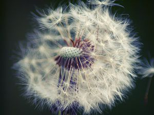 IMG_3267