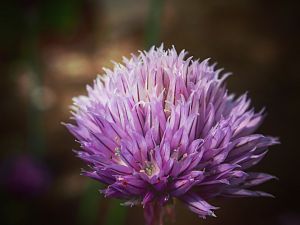IMG_3365