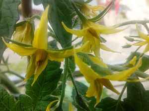 IMG_20180611_114613