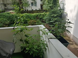 20180616_084547