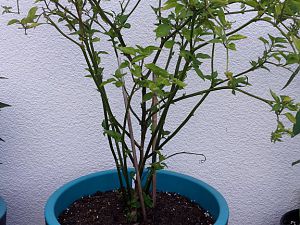 20180622_171905