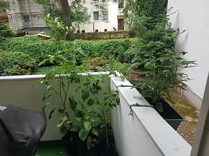 20180623_082301
