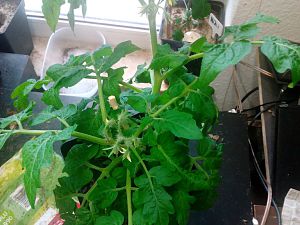 IMG_20180628_194107