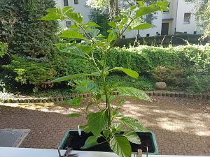 20180630_084820