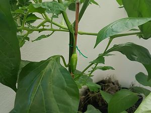 20180630_084851