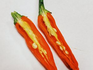 Aji Ahuachapan