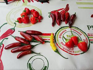 IMG_20180720_180613_529