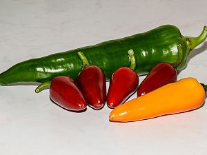 DSC2759