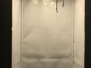 Growbox innen