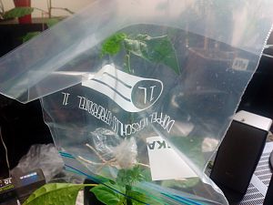IMG_20180728_125019