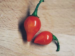 Peito De Moca