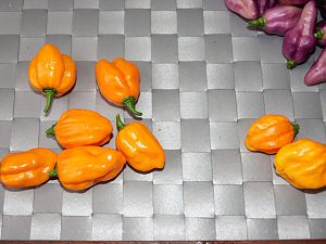 DSC09999