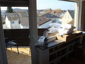 IMG_4486