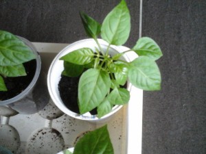 20160329_170508