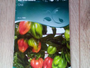 Dänische Chilisamen