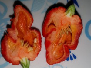 20151028_153603