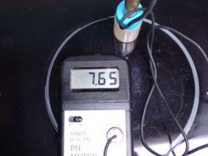 Ph Wert Leitungswasser