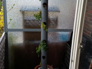 20160417_115348