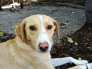 IMG_20180805_185139