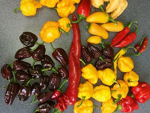 IMG_20180730_191747