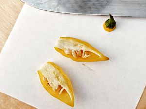 Aji Mochero