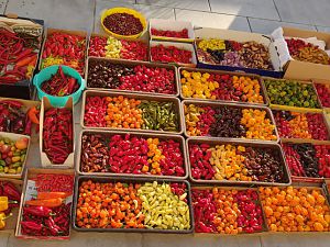 IMG_20180808_071404