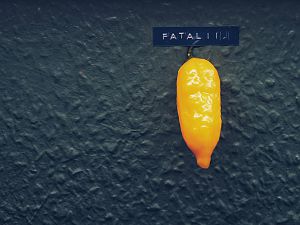 Fatalii