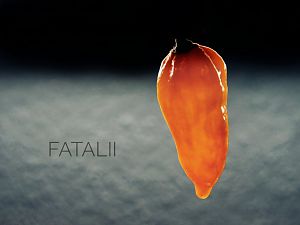 Fatalii