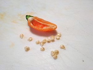IMG_20180810_094407