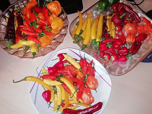 IMG_20180810_194117_918