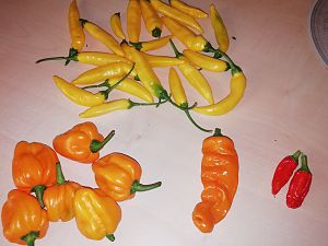 IMG_20180810_193817_184